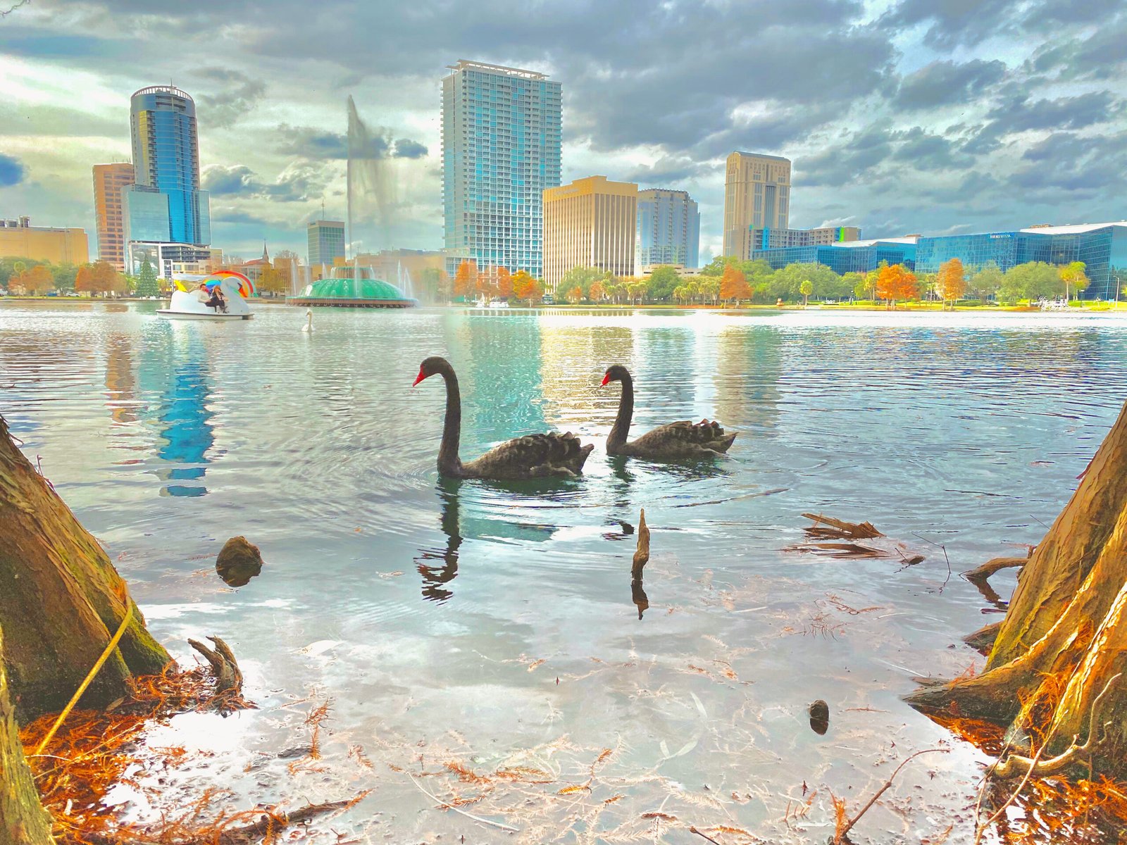 Orlando's Mobile Massage services by Massology